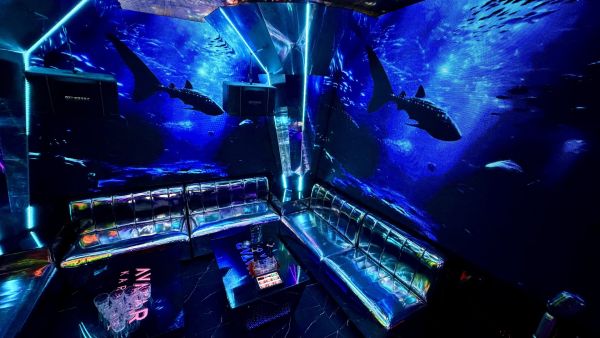 Aquarium（3A1）